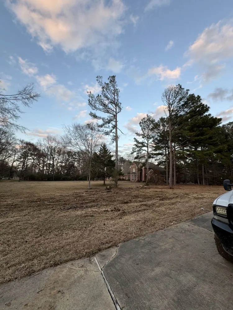 Reliable residential landscaping experts serving Brandon, MS - Thomas Land Management Services