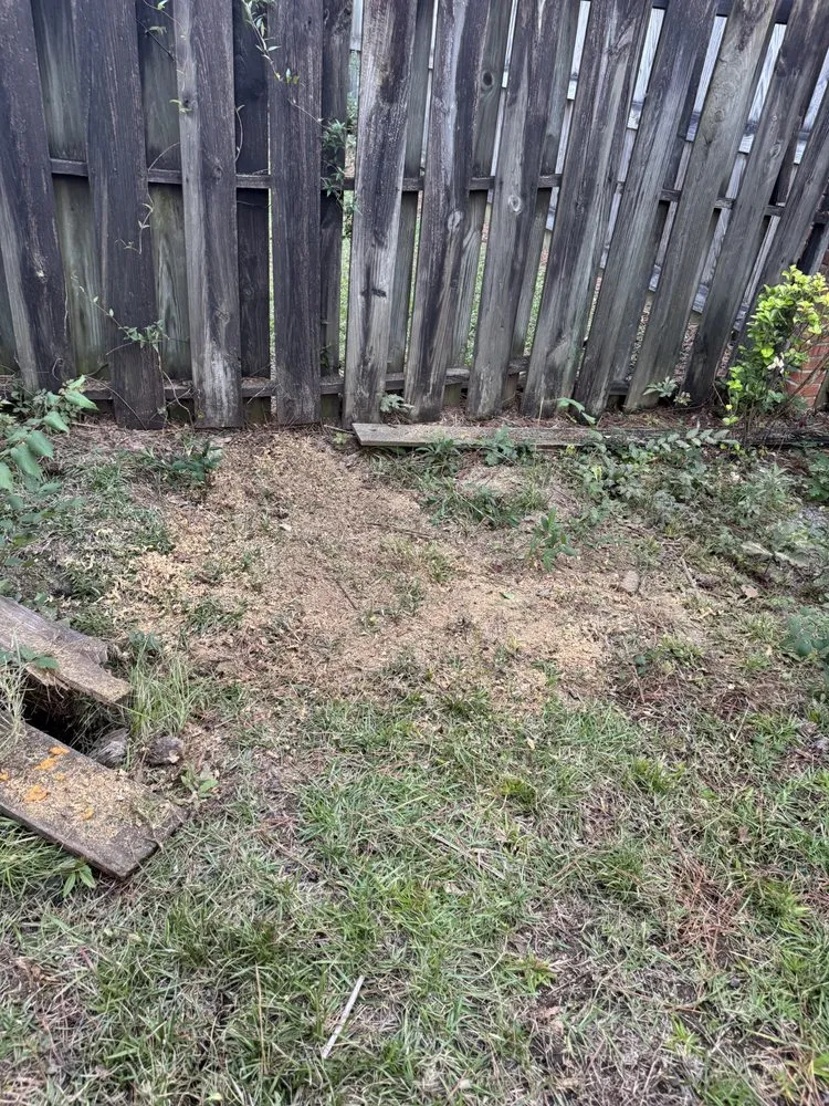 Trusted lawn care service for year-round maintenance in Brandon, MS by Thomas Land Management Services