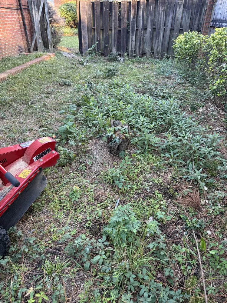 Professional yard cleanup service experts serving Brandon, MS - Thomas Land Management Services
