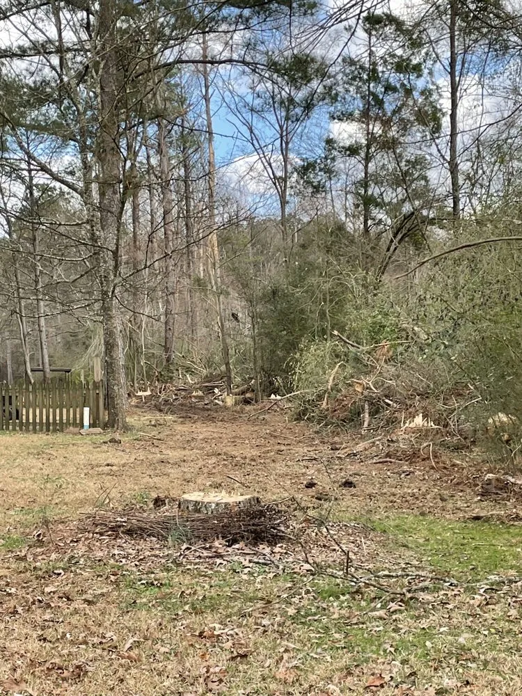 Local yard maintenance in Brandon, MS by Thomas Land Management Services