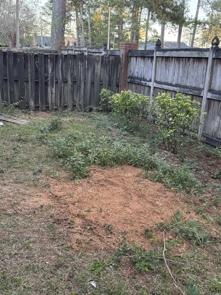 Custom landscape design experts serving Brandon, MS - Thomas Land Management Services