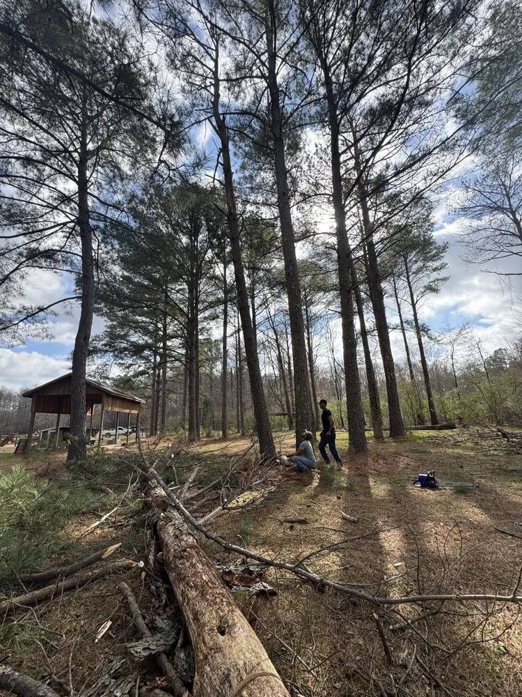 Trusted yard maintenance experts serving Brandon, MS - Thomas Land Management Services