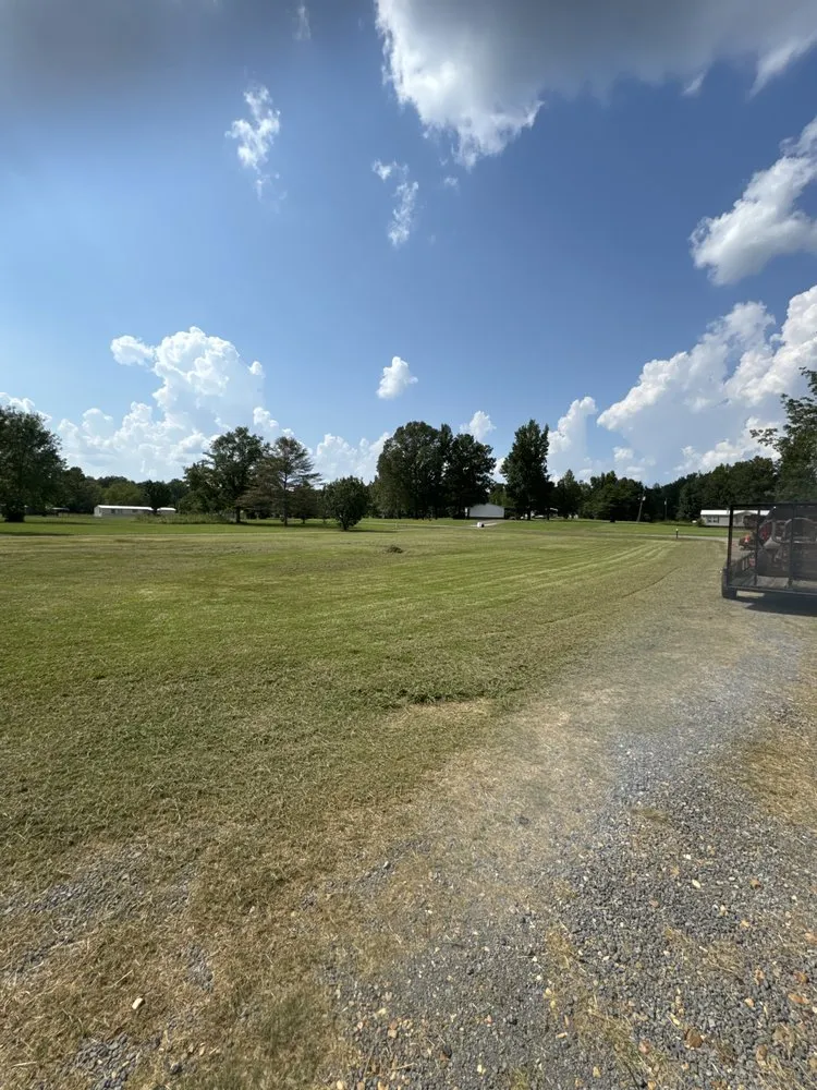 Local yard cleanup service in Brandon, MS - Thomas Land Management Services