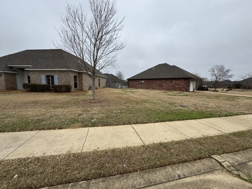 Top-rated landscaping services experts serving Brandon, MS - Thomas Land Management Services