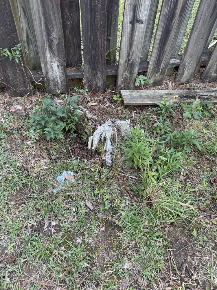 Affordable residential landscaping in Brandon, MS by Thomas Land Management Services