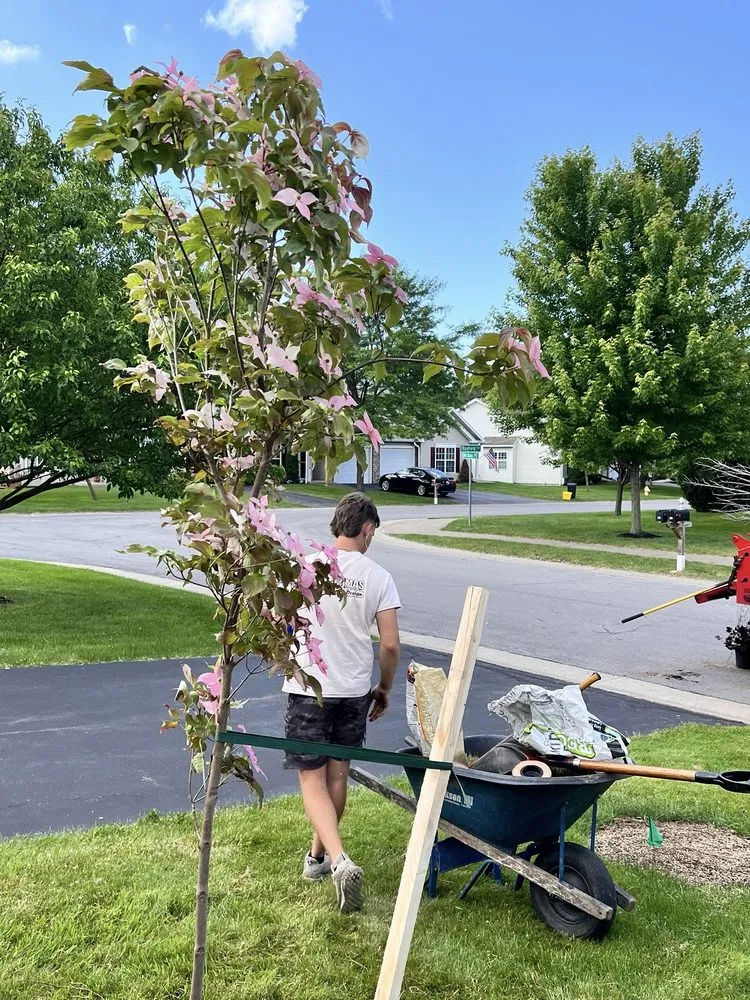 Custom lawn mowing service in Webster, NY by Thomas Landscape & Design