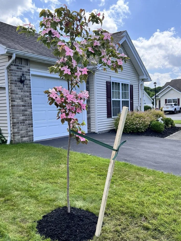 Local outdoor landscaping in Webster, NY - Thomas Landscape & Design