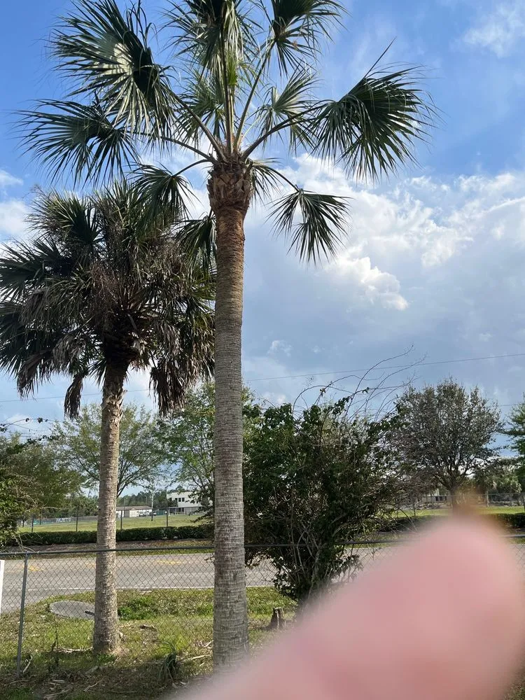 Reliable lawn mowing service in Naples, FL - Thomas Landscape Services