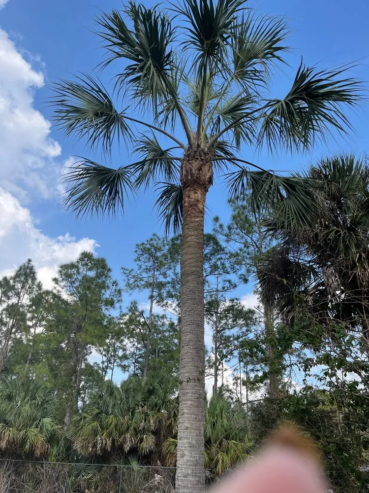 Top-rated garden landscaping experts serving Naples, FL - Thomas Landscape Services