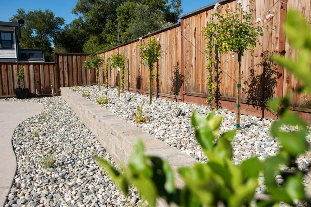 Trusted landscape design in Healdsburg, CA by Thomas Landscapes