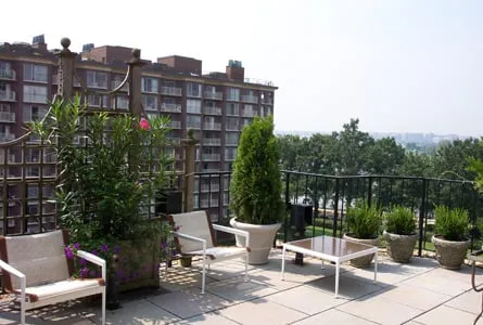 Affordable yard cleanup service for year-round maintenance in Washington DC, DC by Thomas Landscapes