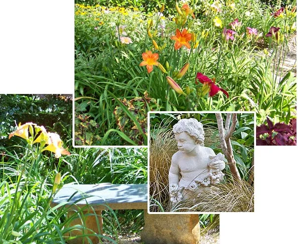 Affordable yard cleanup service in Washington DC, DC - Thomas Landscapes