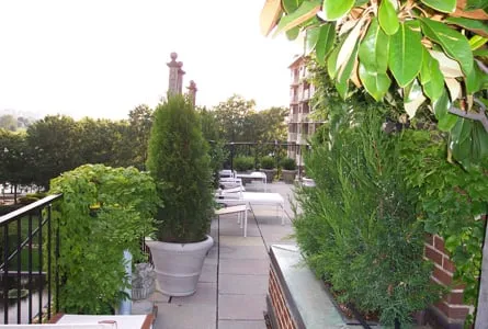 Trusted landscape installation for residential properties across Washington DC, DC - Thomas Landscapes