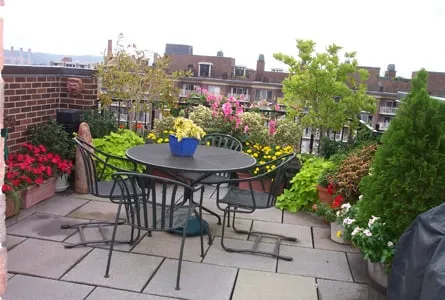 Local garden landscaping for beautiful yards in Washington DC, DC by Thomas Landscapes