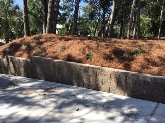 Reliable lawn mowing service for year-round maintenance across Newport, NC - Thomas Landscaping and Hardscaping