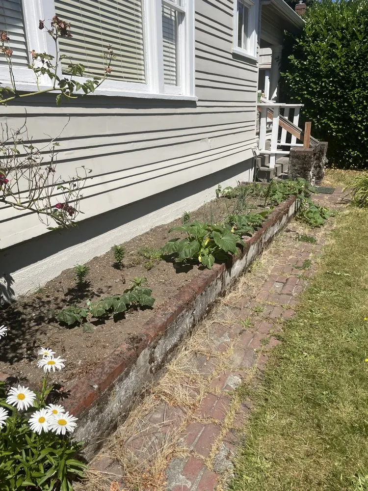 Trusted yard maintenance in Tacoma, WA by Thomas Landscaping