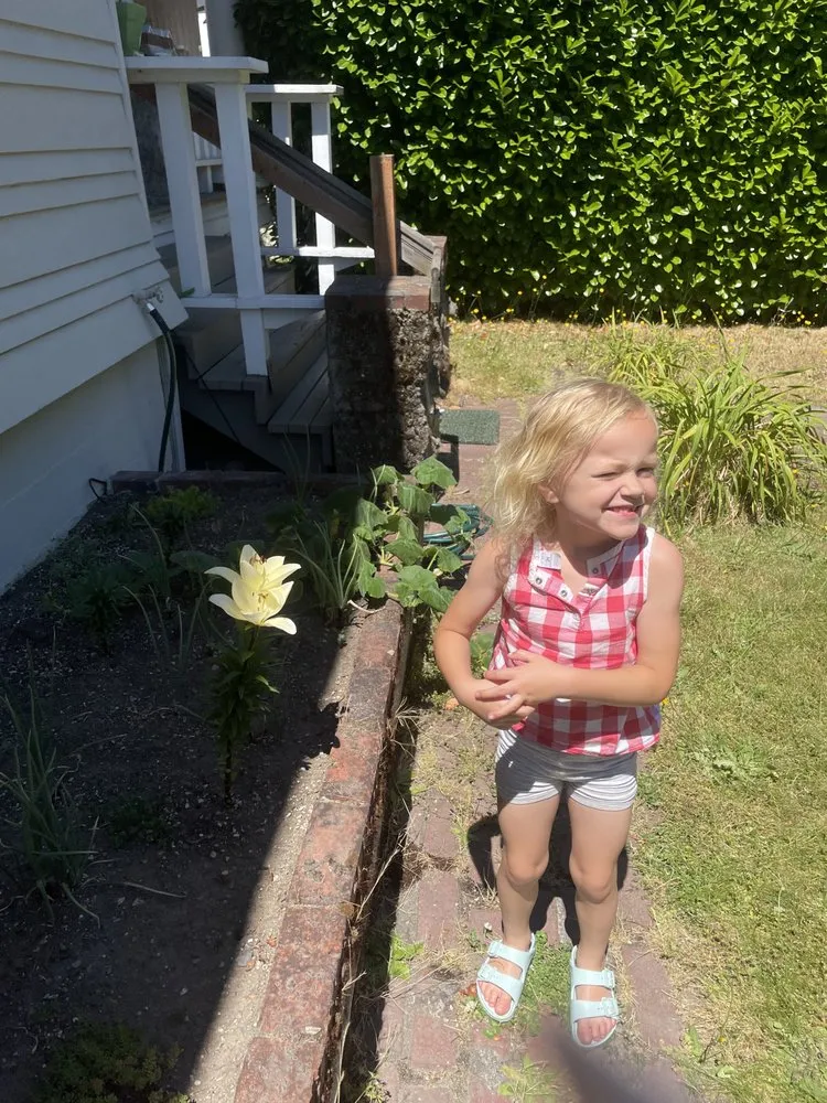 Local yard maintenance for outdoor upgrades in Tacoma, WA by Thomas Landscaping