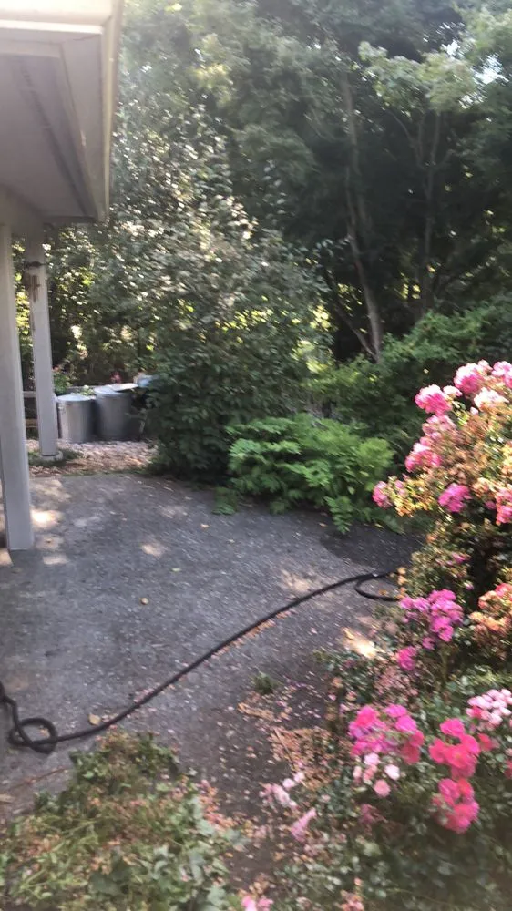 Top-rated yard maintenance in Tacoma, WA - Thomas Landscaping