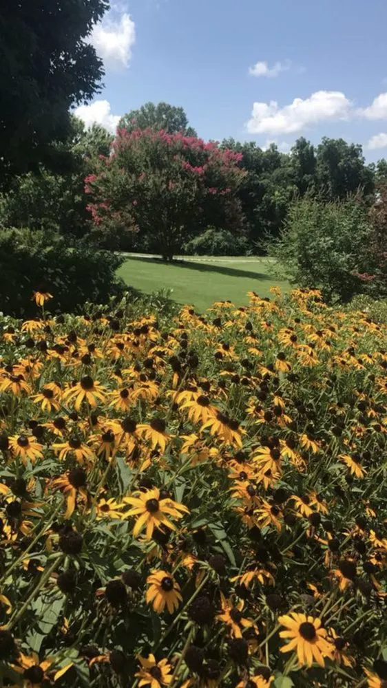 Trusted residential landscaping near you in Como, MS by Thomas Lawn & Landscape