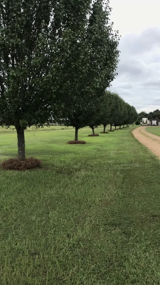 Reliable garden landscaping for outdoor upgrades in Como, MS by Thomas Lawn & Landscape