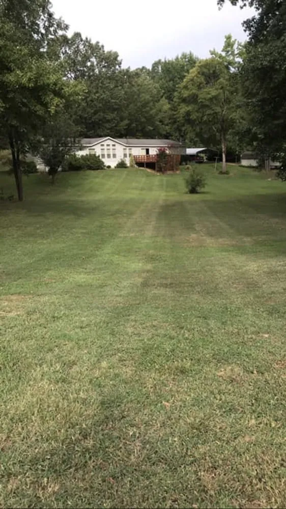 Top-rated landscape design experts serving Como, MS - Thomas Lawn & Landscape