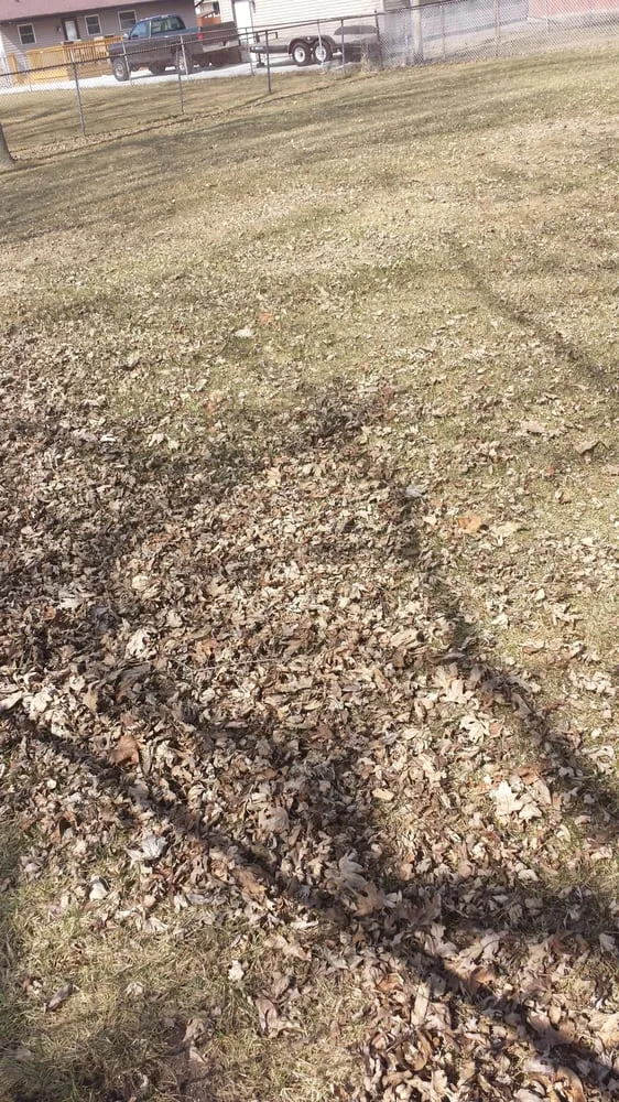 Expert residential landscaping in Racine, WI by Thomas Lawn & Landscape