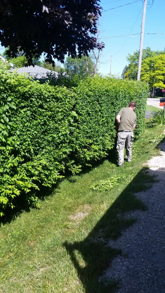 Local landscaping services in Racine, WI - Thomas Lawn & Landscape