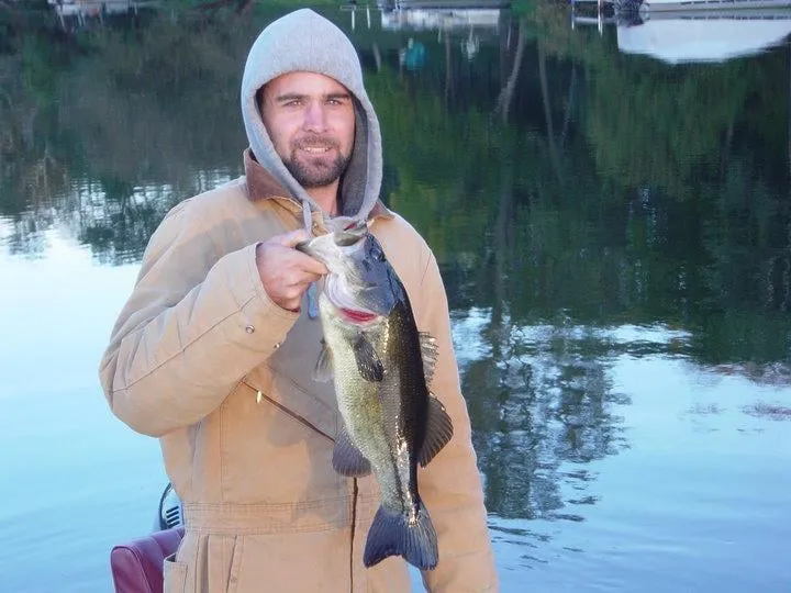 Expert residential landscaping for outdoor upgrades in Racine, WI by Thomas Lawn & Landscape