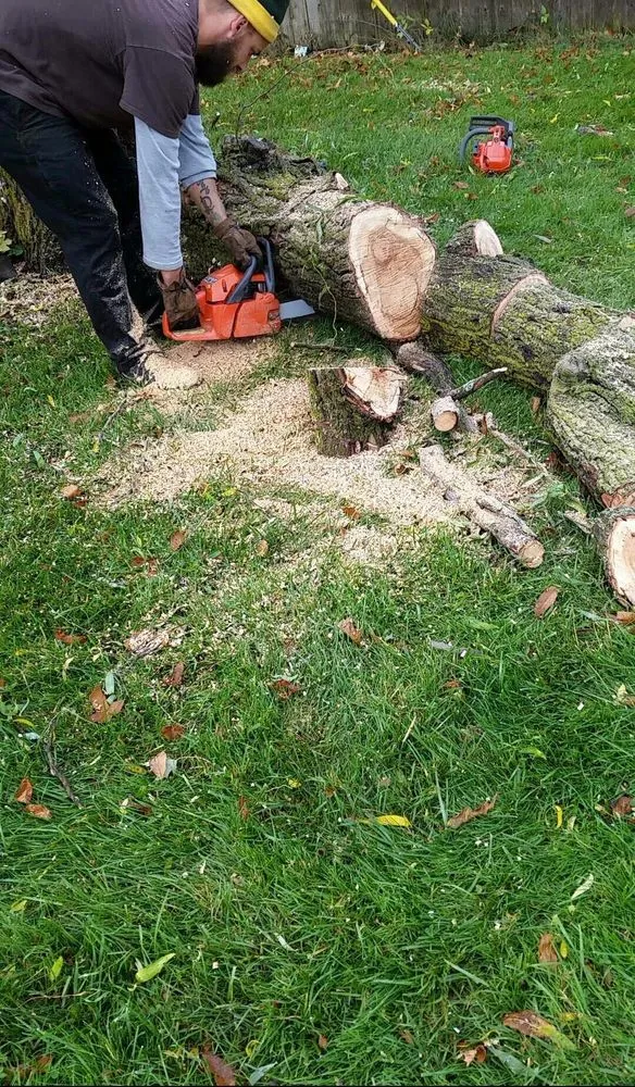 Trusted lawn care service for homes across Racine, WI - Thomas Lawn & Landscape