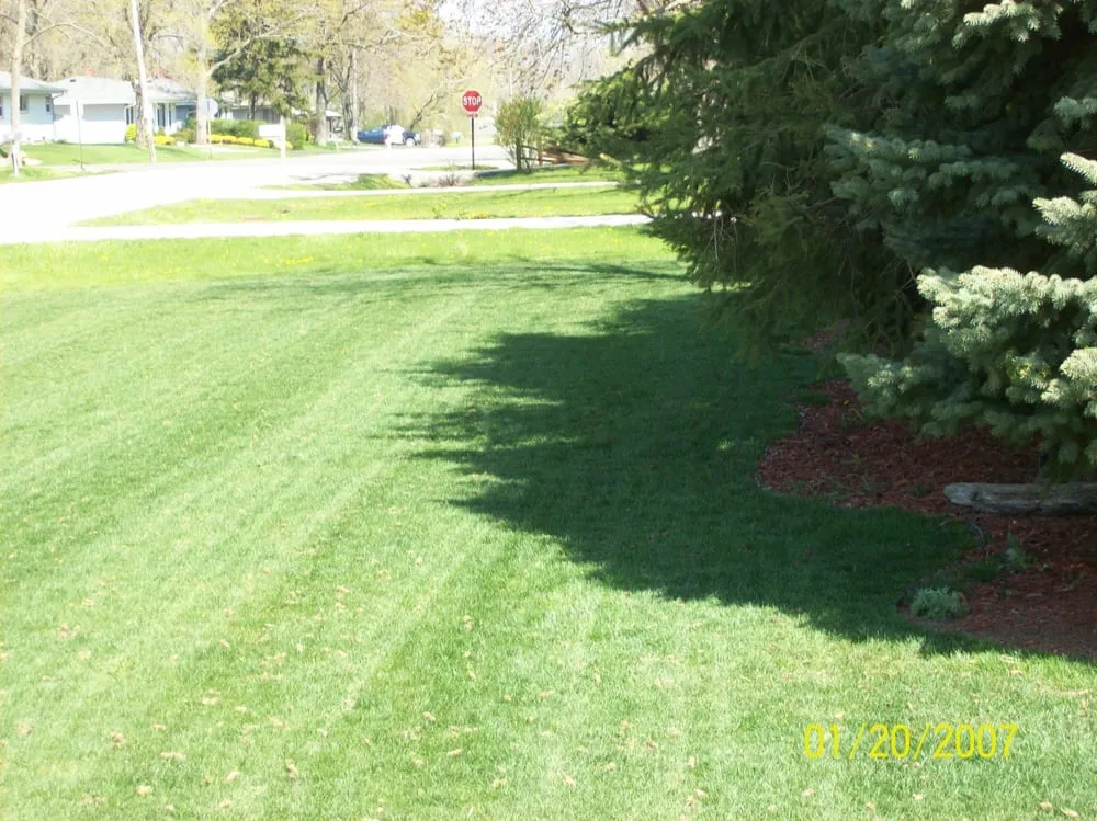Top-rated lawn care service in Racine, WI - Thomas Lawn & Landscape
