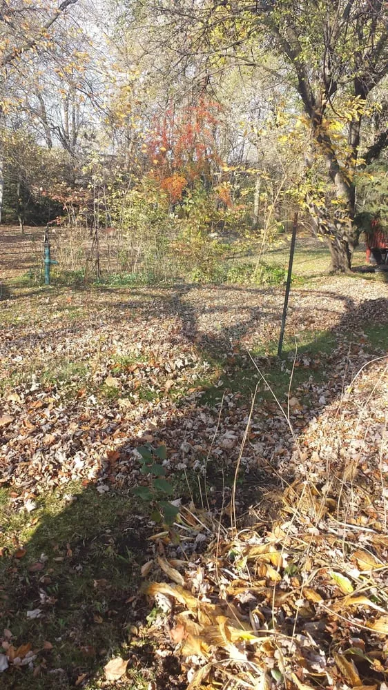 Trusted lawn care service with custom design across Racine, WI - Thomas Lawn & Landscape