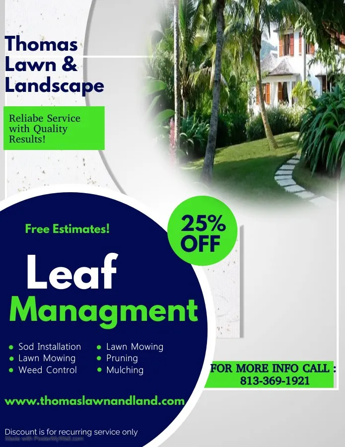 Custom residential landscaping in Seffner, FL - Thomas Lawn & Landscape