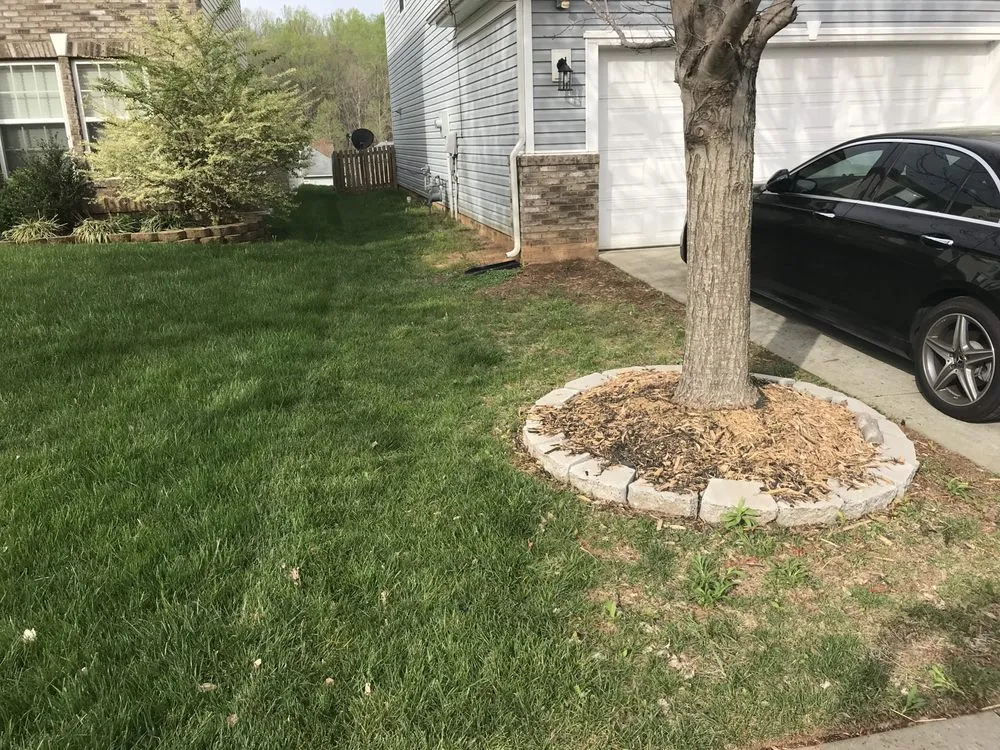 Local residential landscaping for year-round maintenance in Bessemer City, NC by Thomas Lawn & Landscaping