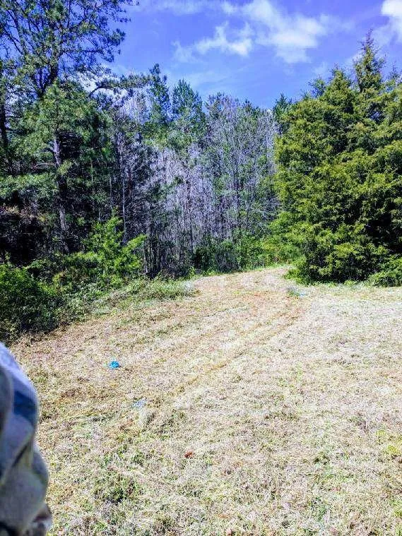 Affordable yard maintenance experts serving Bessemer City, NC - Thomas Lawn & Landscaping