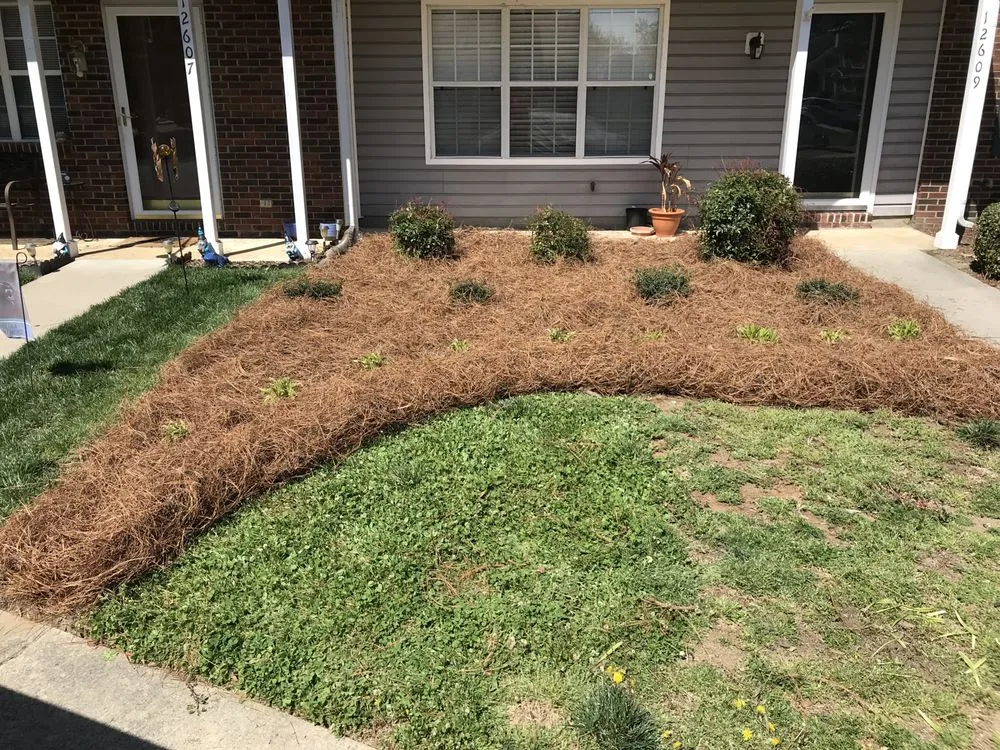 Expert landscape design in Bessemer City, NC - Thomas Lawn & Landscaping