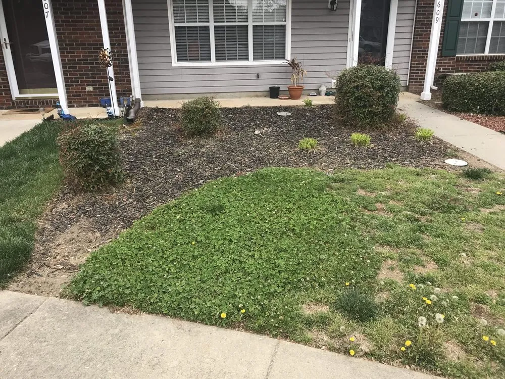 Professional outdoor landscaping for year-round maintenance across Bessemer City, NC - Thomas Lawn & Landscaping