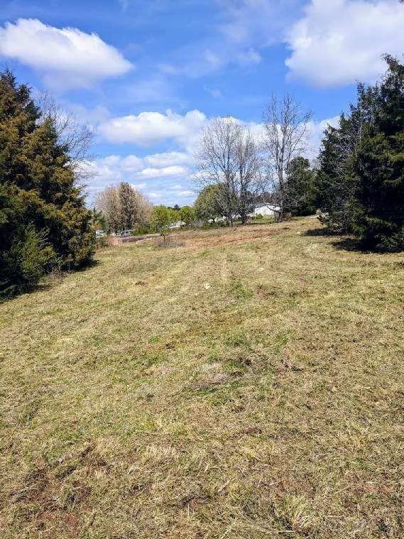 Custom yard cleanup service in Bessemer City, NC - Thomas Lawn & Landscaping