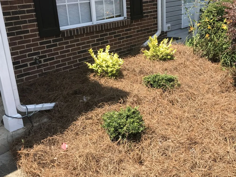 Custom lawn mowing service in Bessemer City, NC - Thomas Lawn & Landscaping