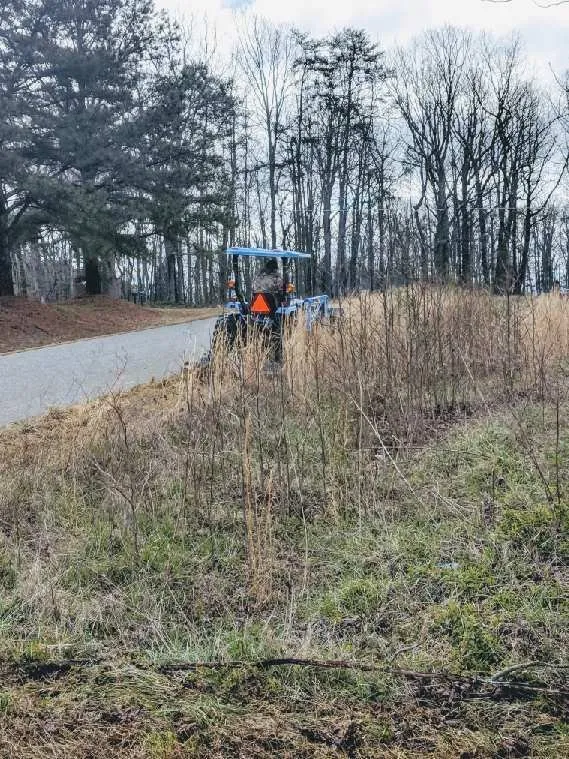 Custom outdoor landscaping experts serving Bessemer City, NC - Thomas Lawn & Landscaping