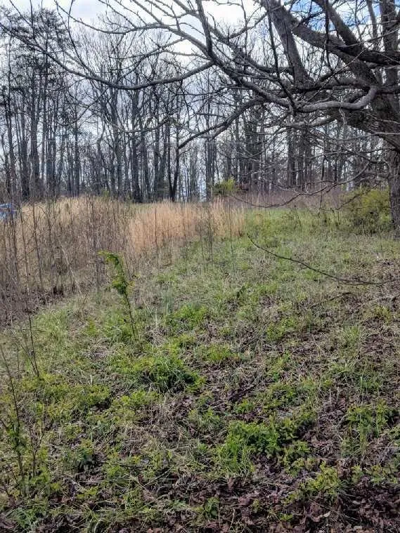 Expert lawn mowing service in Bessemer City, NC - Thomas Lawn & Landscaping