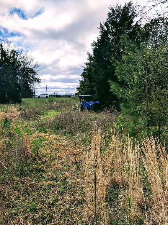Affordable landscape design with custom design in Bessemer City, NC by Thomas Lawn & Landscaping