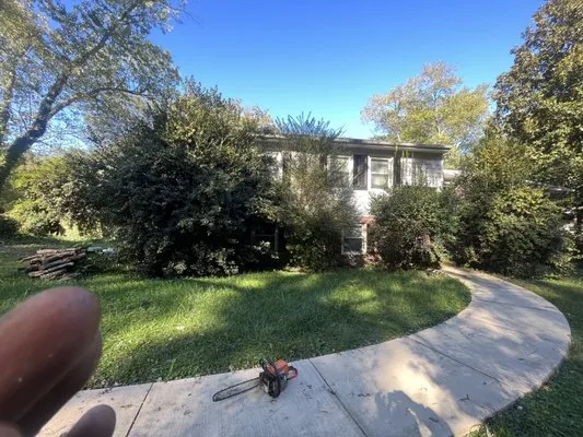 Thomas Lawn & Maintenance Service