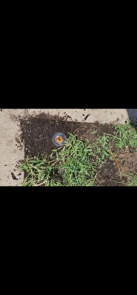 Reliable residential landscaping in Skiatook, OK by Thomas Lawn And Landscape