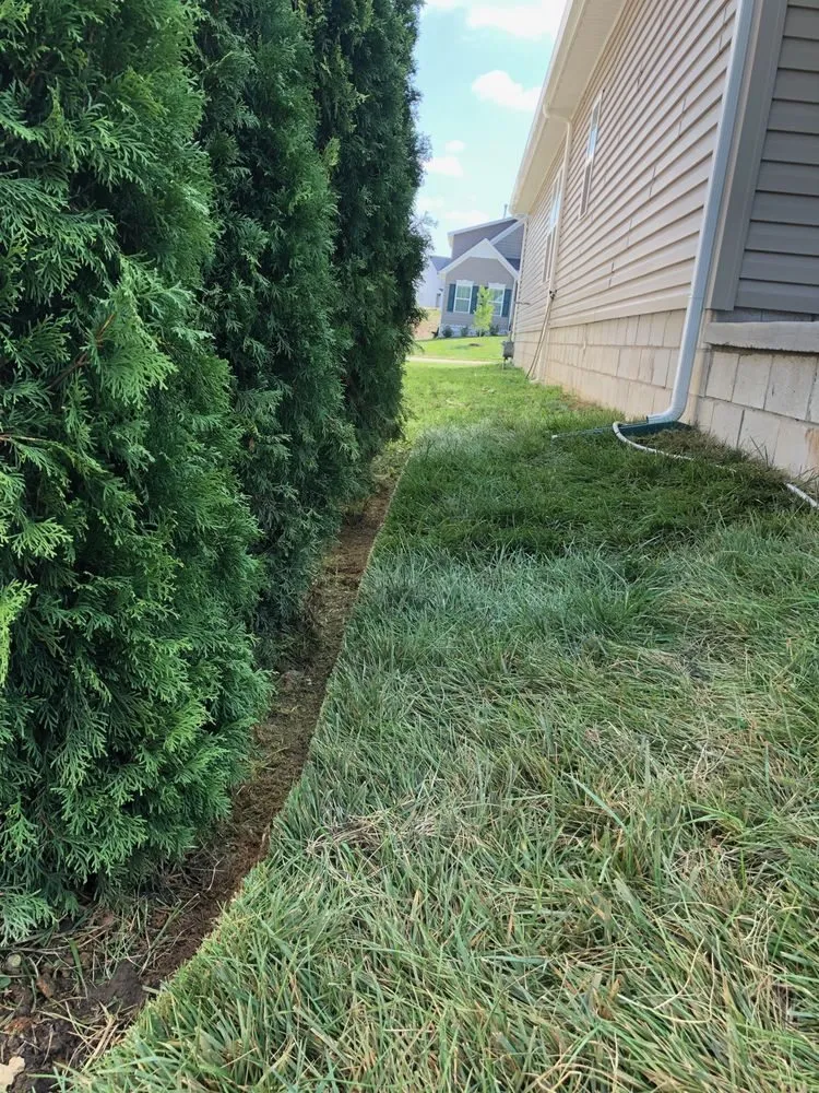 Expert landscape installation in Rockvale, TN by Thomas Lawn and Landscaping