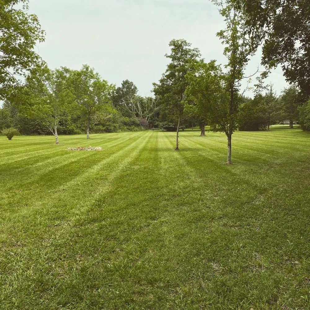 Reliable yard maintenance for residential properties in Rockvale, TN by Thomas Lawn and Landscaping