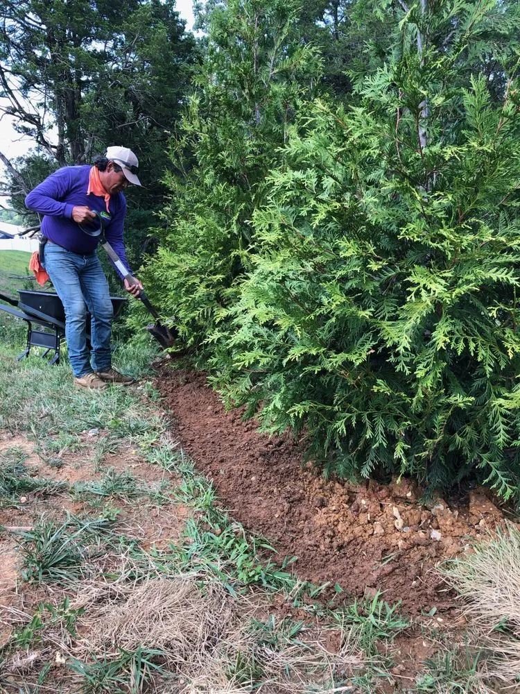 Local landscape design experts serving Rockvale, TN - Thomas Lawn and Landscaping