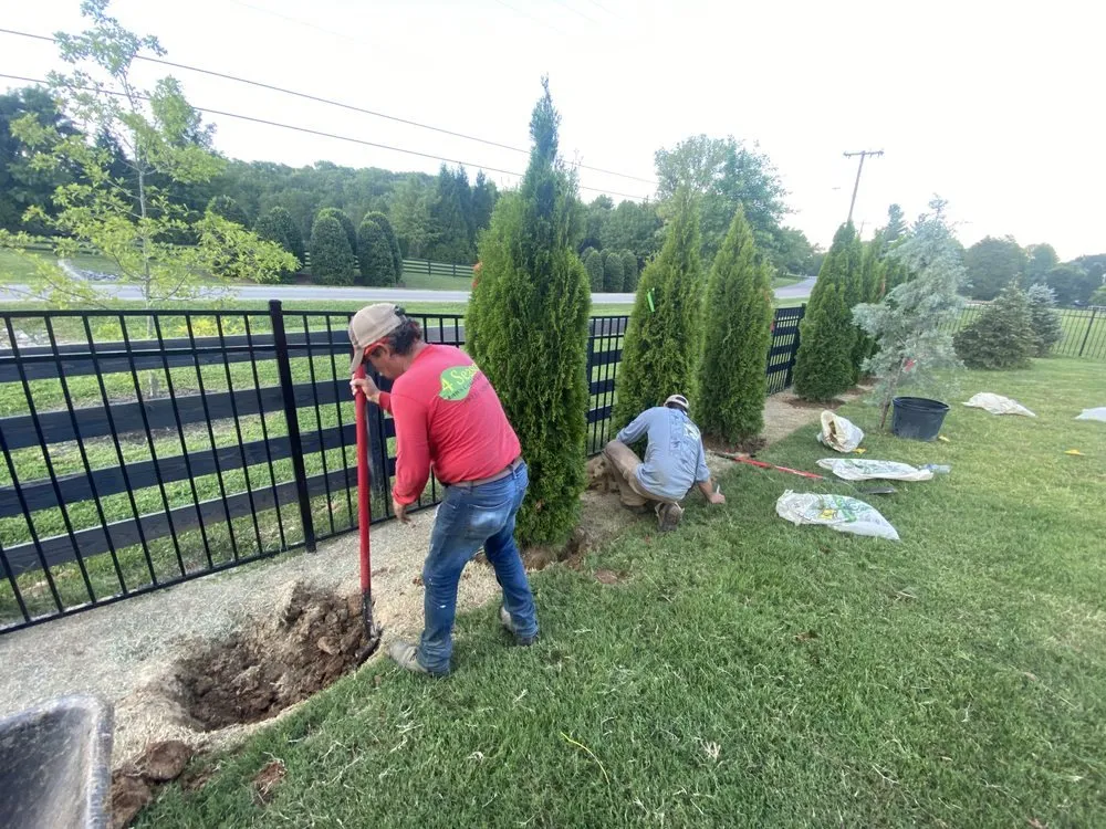 Local yard maintenance in Rockvale, TN by Thomas Lawn and Landscaping