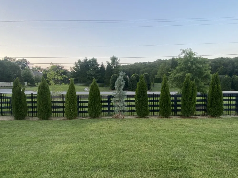 Expert outdoor landscaping in Rockvale, TN - Thomas Lawn and Landscaping