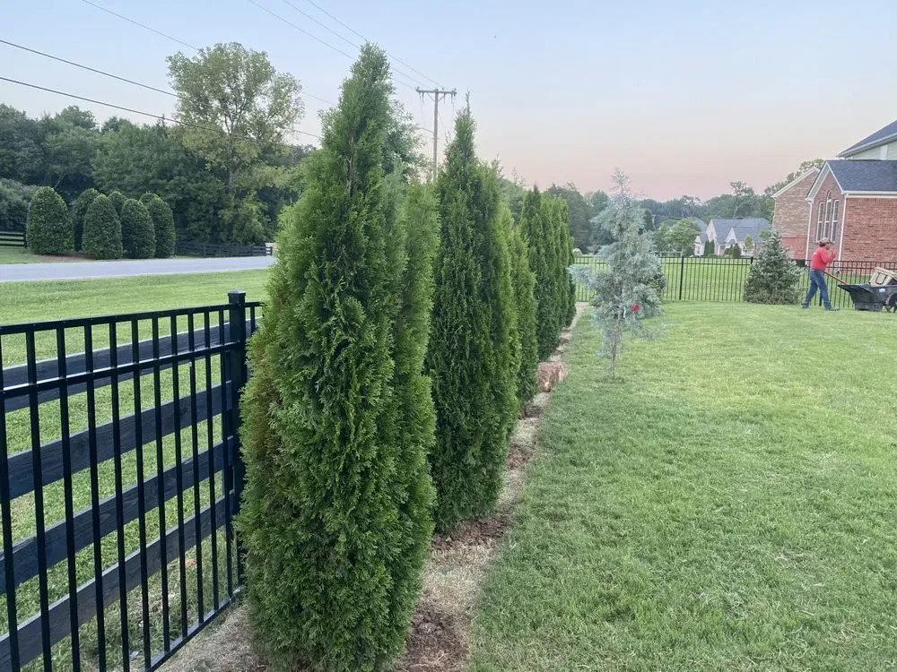 Affordable landscape design near you in Rockvale, TN by Thomas Lawn and Landscaping