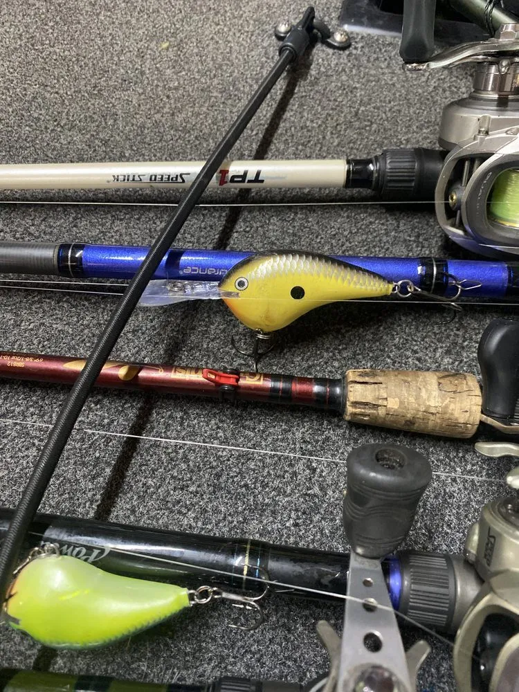 Professional yard cleanup service experts serving Rockvale, TN - Thomas Lawn and Landscaping